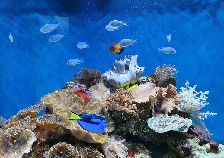 SEA LIFE® Great Yarmouth